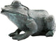 Ubbink Ubbink Spray Figur Frosch 12 cm 1386098