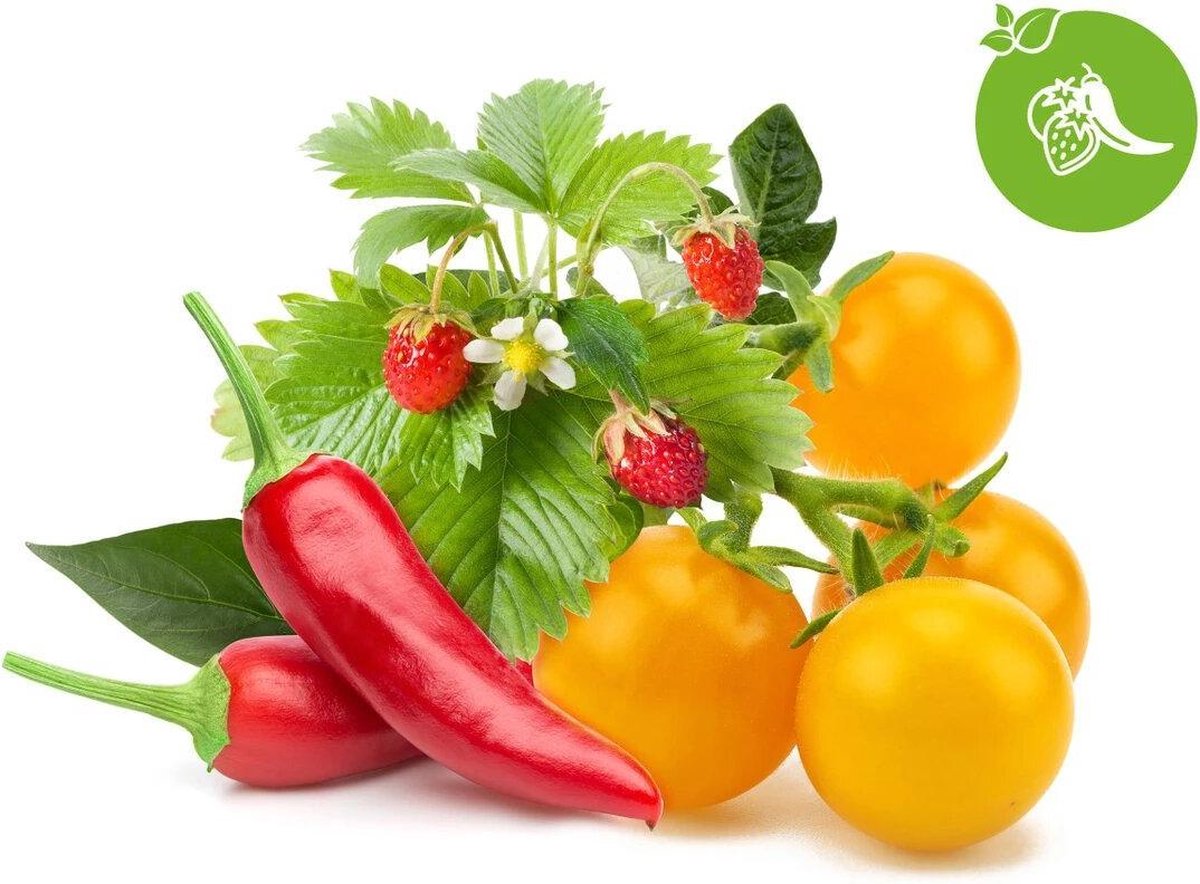 Klicken Sie auf Grow, klicken Sie auf Grow, Obst-Gemüse-Mischung