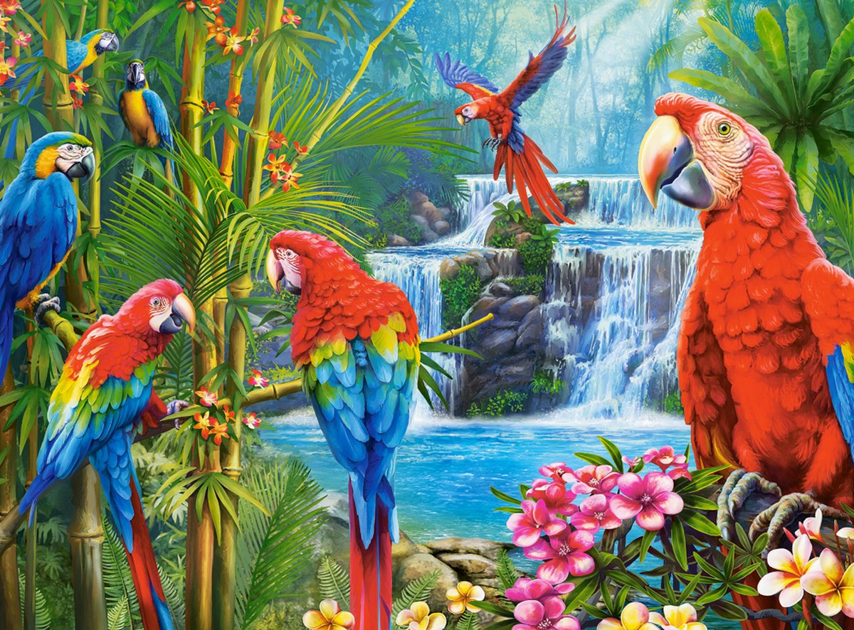 Castorland Puzzle Papageientreffen – 2000 Teile Puzzle.