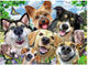 Ravensburger Jigsaw Puzzle Fröhliche Hunde, 1000st.