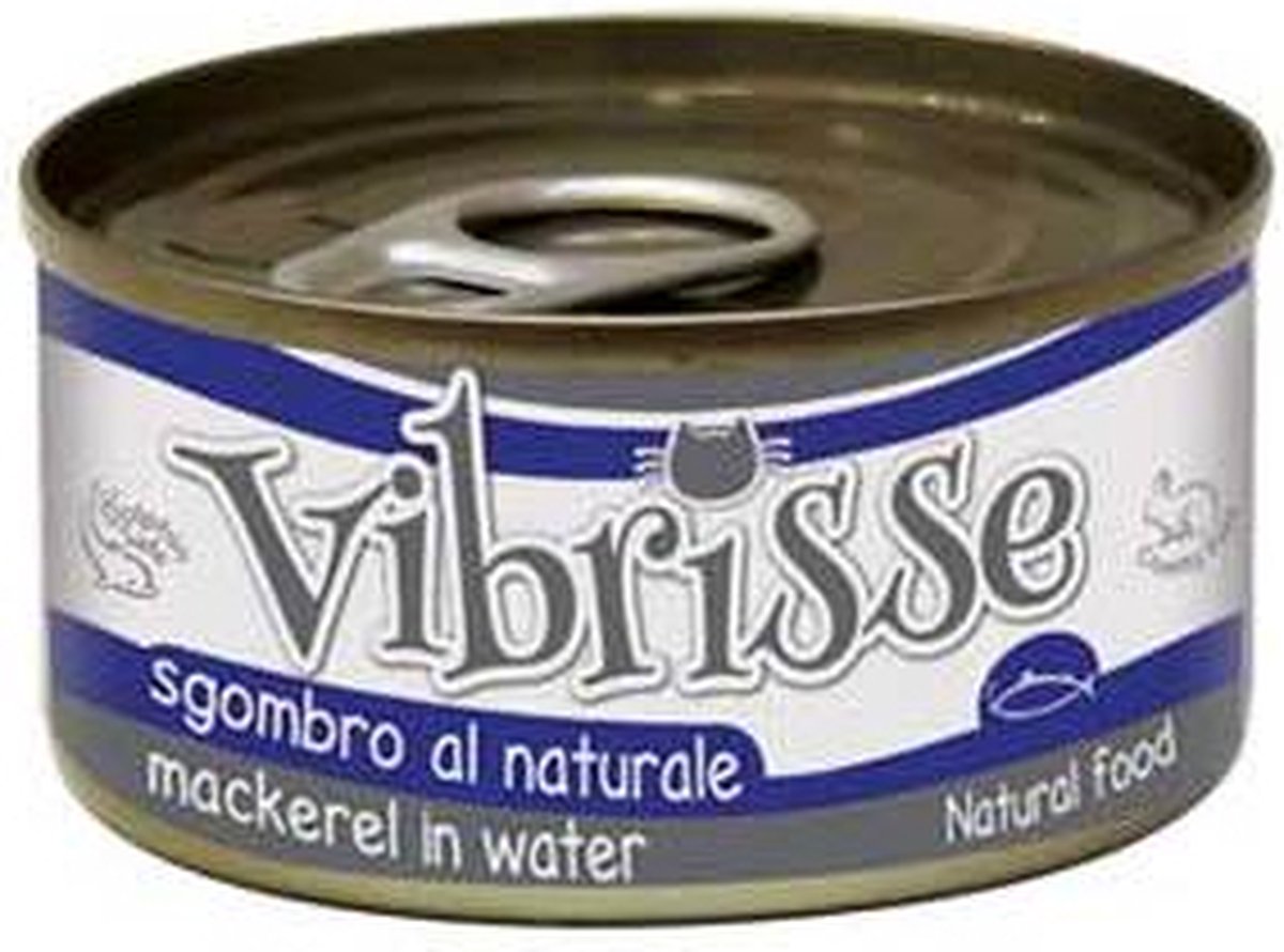 Vibrisse -Katzenmakrele