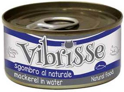 Vibrisse -Katzenmakrele