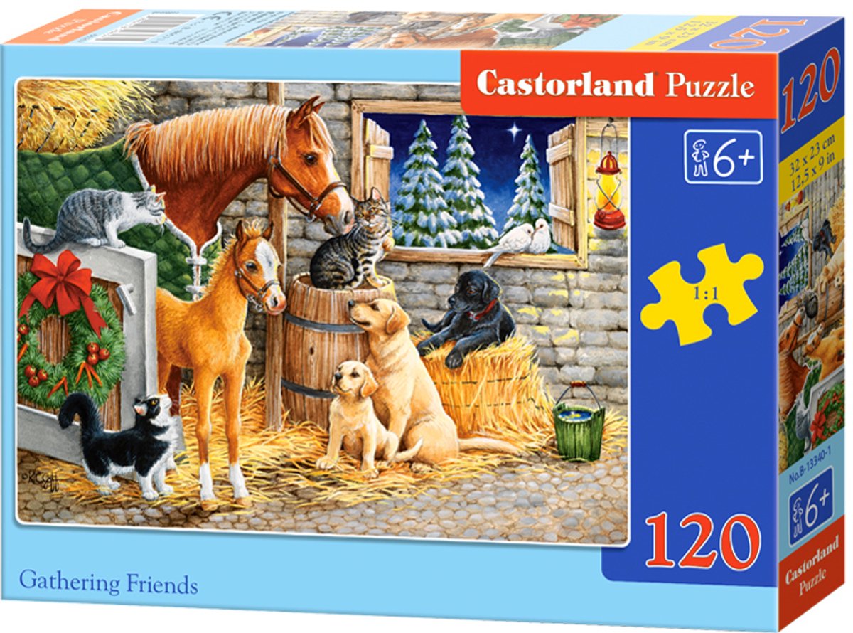 Castorland trifft Freunde – 120 Teile