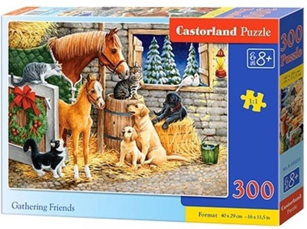 Castorland trifft Freunde – Puzzle – 300 Teile – Tiere – Premium-Qualität