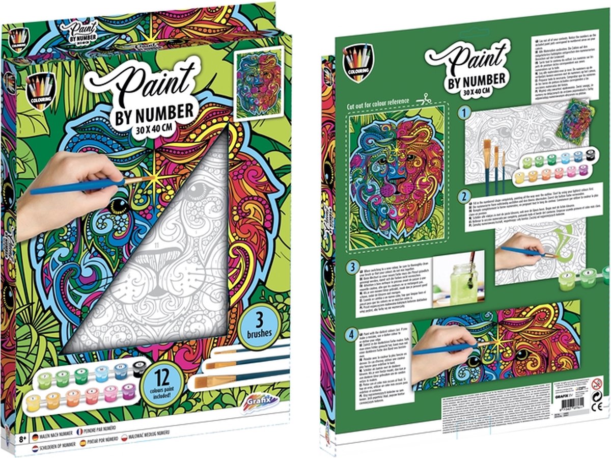 Malen nach Nummer Canvas - Leeuw