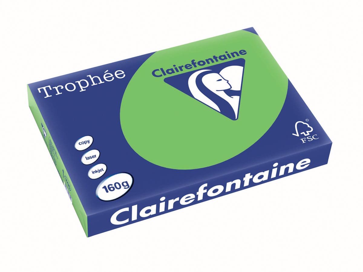 Clairefontaine Trophäe intensiv | farbiges Papier | a3 | 160g | 250 Blatt | grasgrün