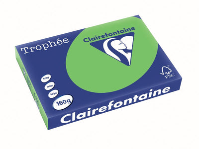 Clairefontaine Trophäe intensiv | farbiges Papier | a3 | 160g | 250 Blatt | grasgrün