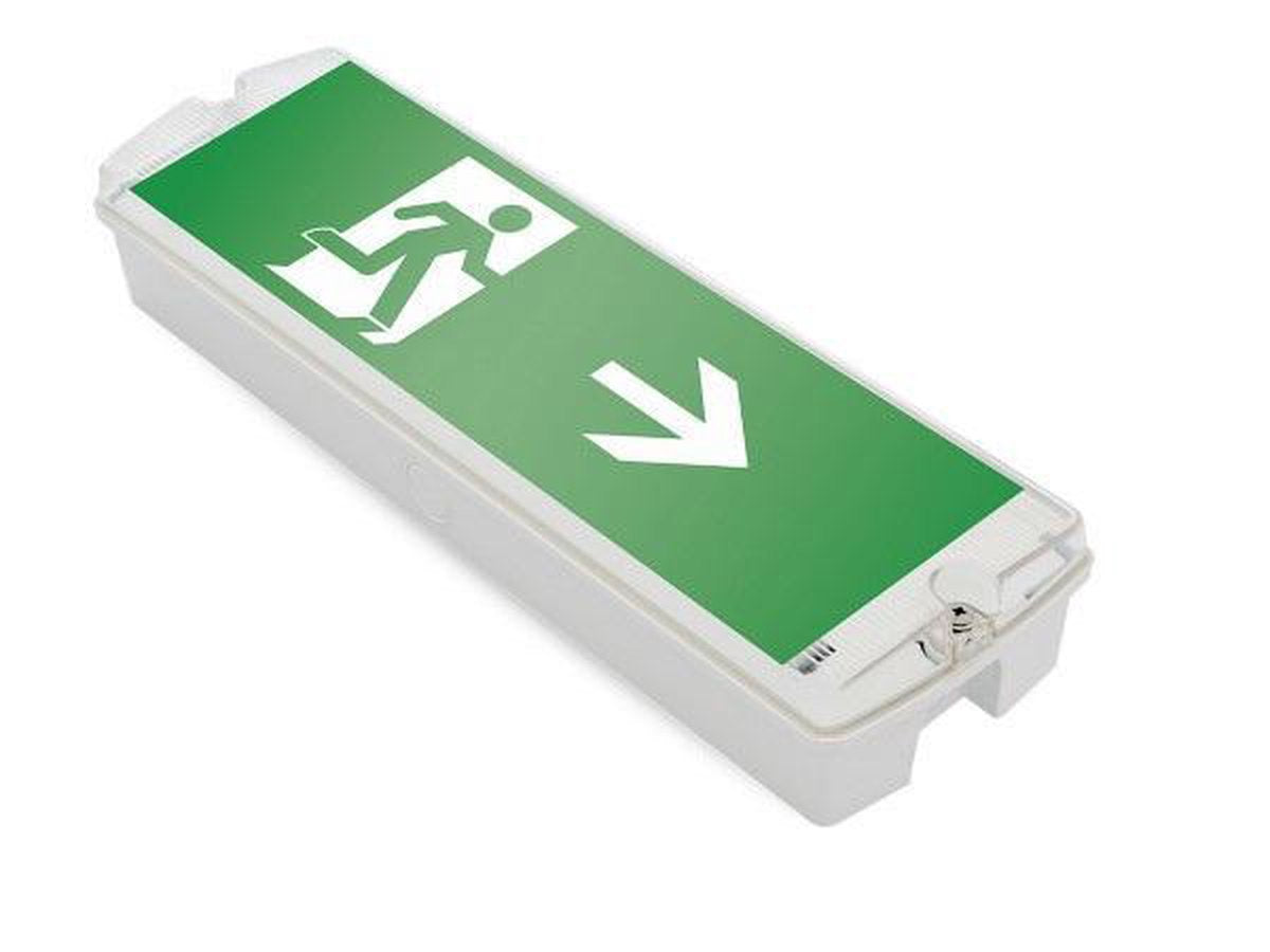 Integrierte LED-Aufbau-Notbeleuchtungsleuchte 5 W, 250 Lumen, IP65, mit Pfeilanzeige