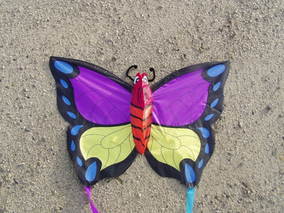 Didak Beach Pinky Winky Drachen – 52 x 73 cm
