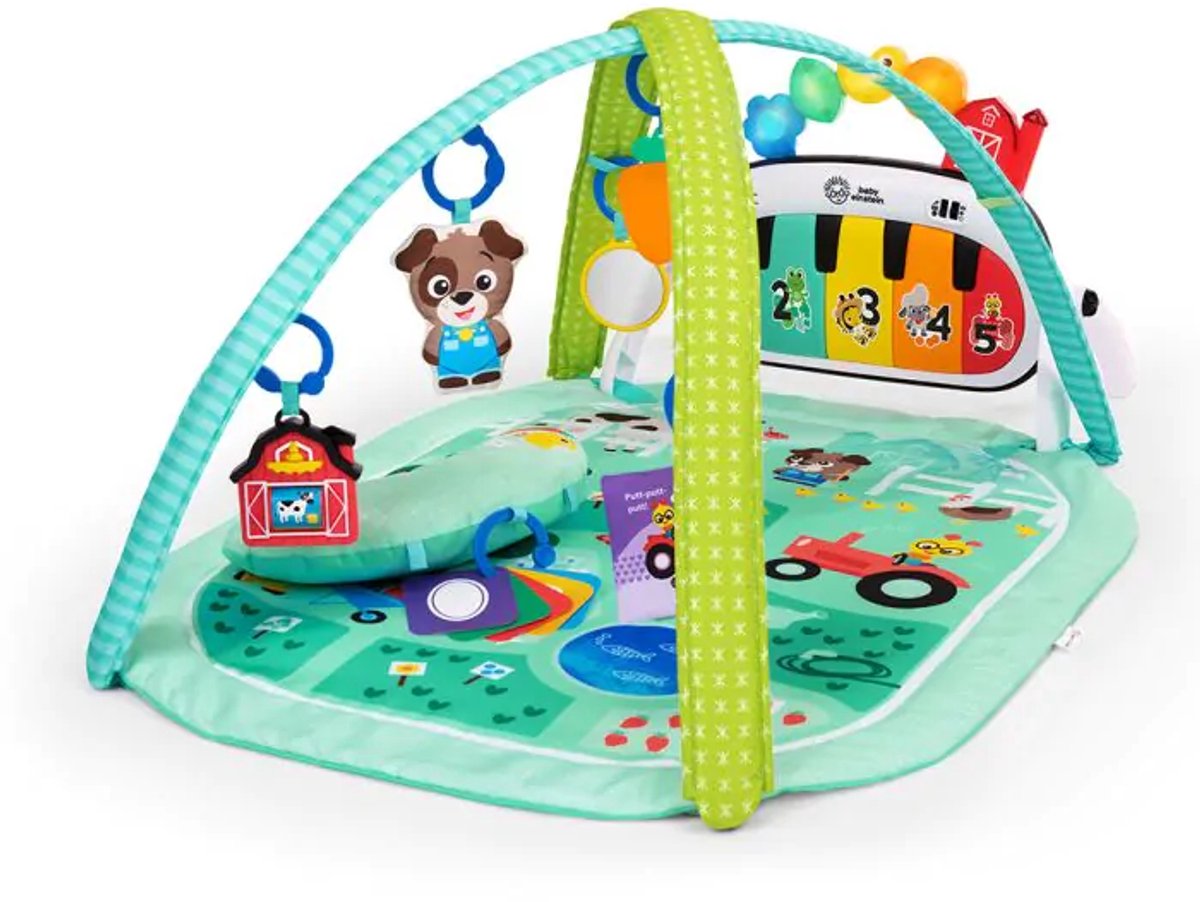 Baby Einstein Discovery Gym 4in1 Kickin Tune Meadow – ab 0 Monaten