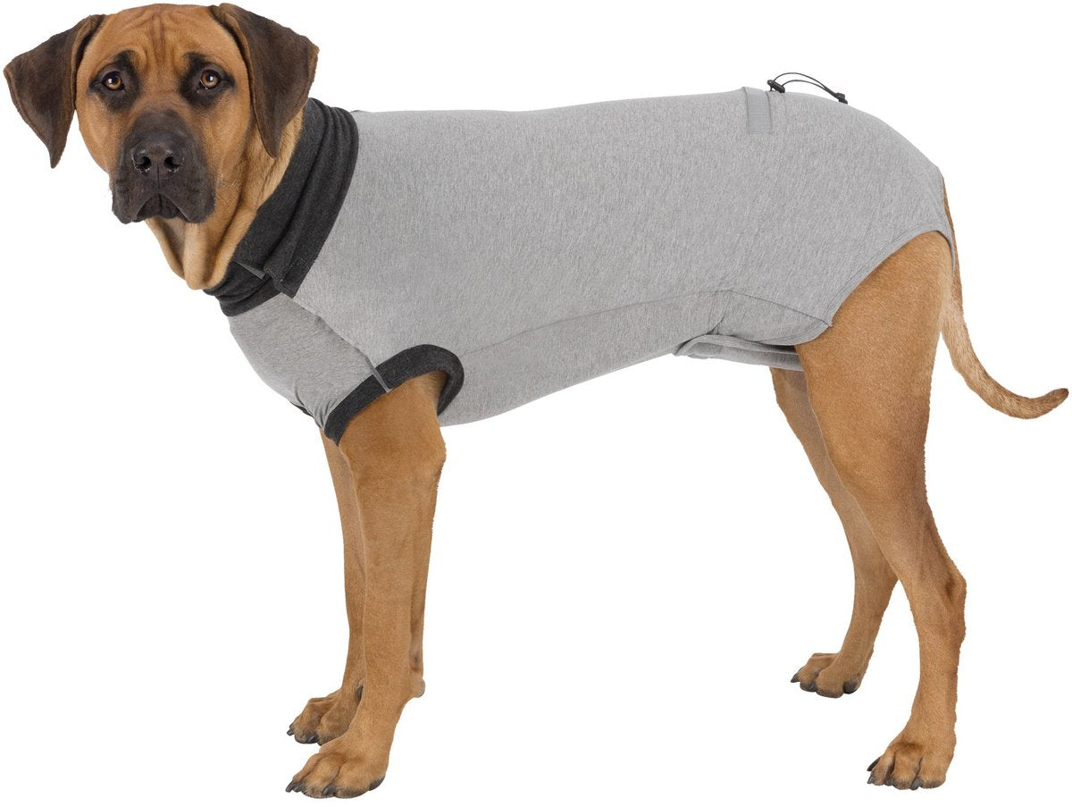 Trixie-Shirt nach der Operation – grau xs 25 cm – Baumwolle Elasthan, Schutzanzug Hund