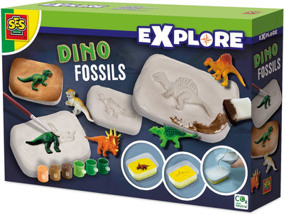 SES erforschen - Dino -Fossilien