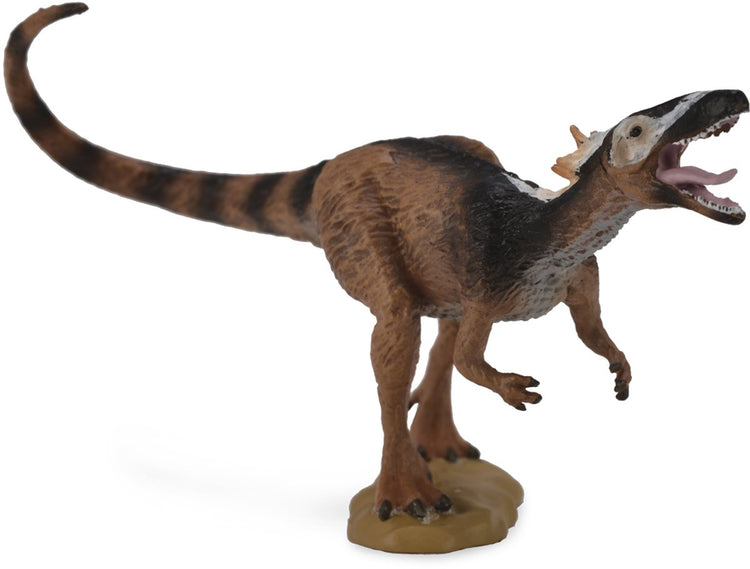 Collecta Vorgeschichte (m): xiongguanlong 10x6cm