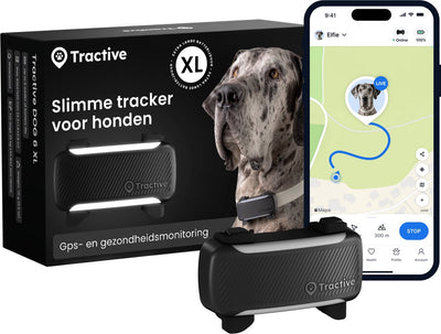 Tractive Dog 6 XL – Smarter GPS-Tracker für Hunde mit Überwachung der Vitalwerte und Gesundheitswarnungen, 6 Wochen Akkulaufzeit – Schwarz