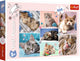 Trefl Puzzle Katzenwelt 100 Teile aus buntem Karton.