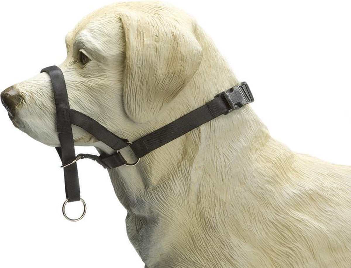 Beeztees Hundekontrolle – Hundehalsband – Schwarz – S