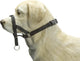 Beeztees Hundekontrolle – Hundehalsband – Schwarz – S