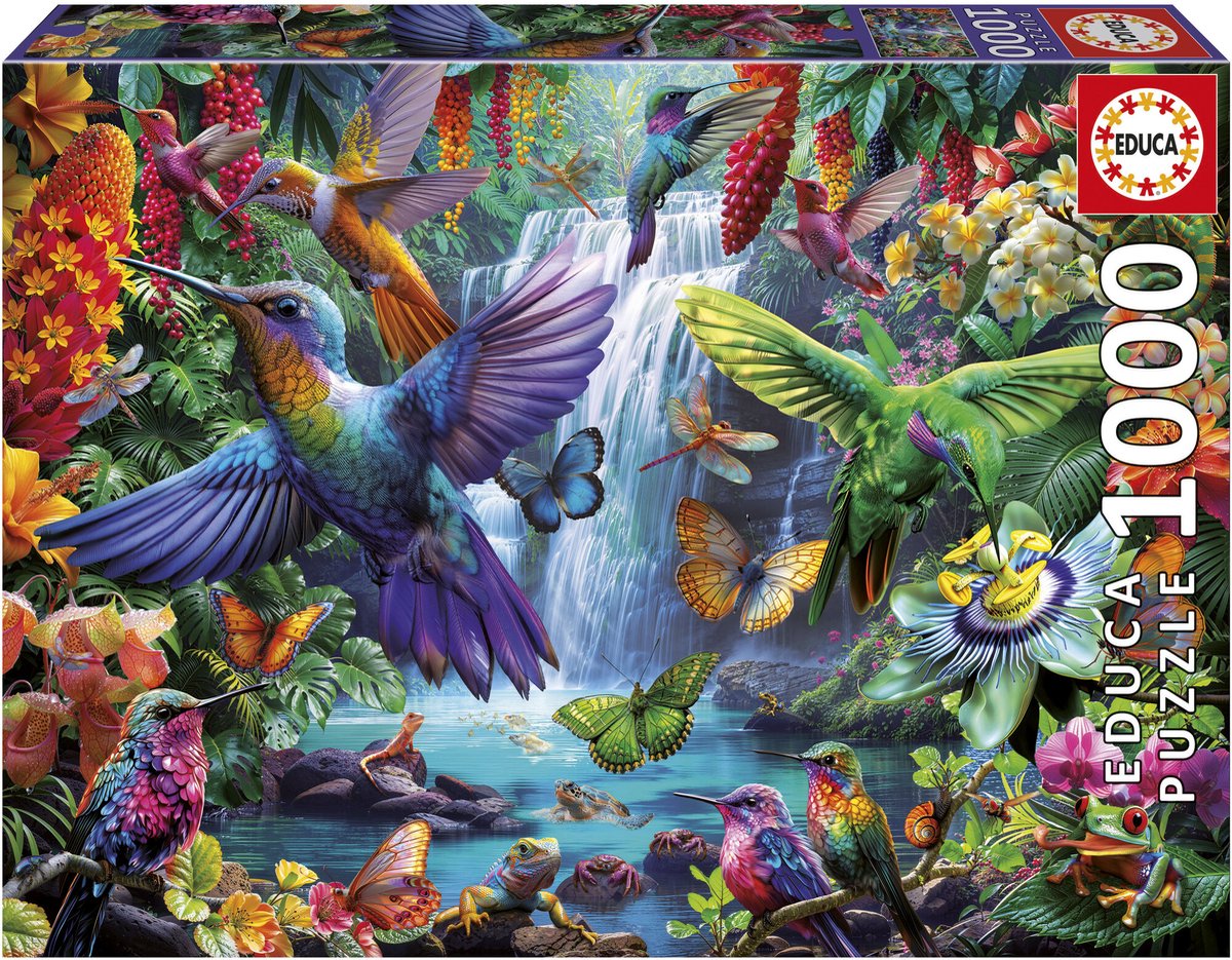 Educa - Puzzle - tropische Kolibris - 1000 Teile - Puzzle