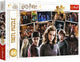 Trefl 160 – Harry Potter und seine Freunde Warner Harry Potter