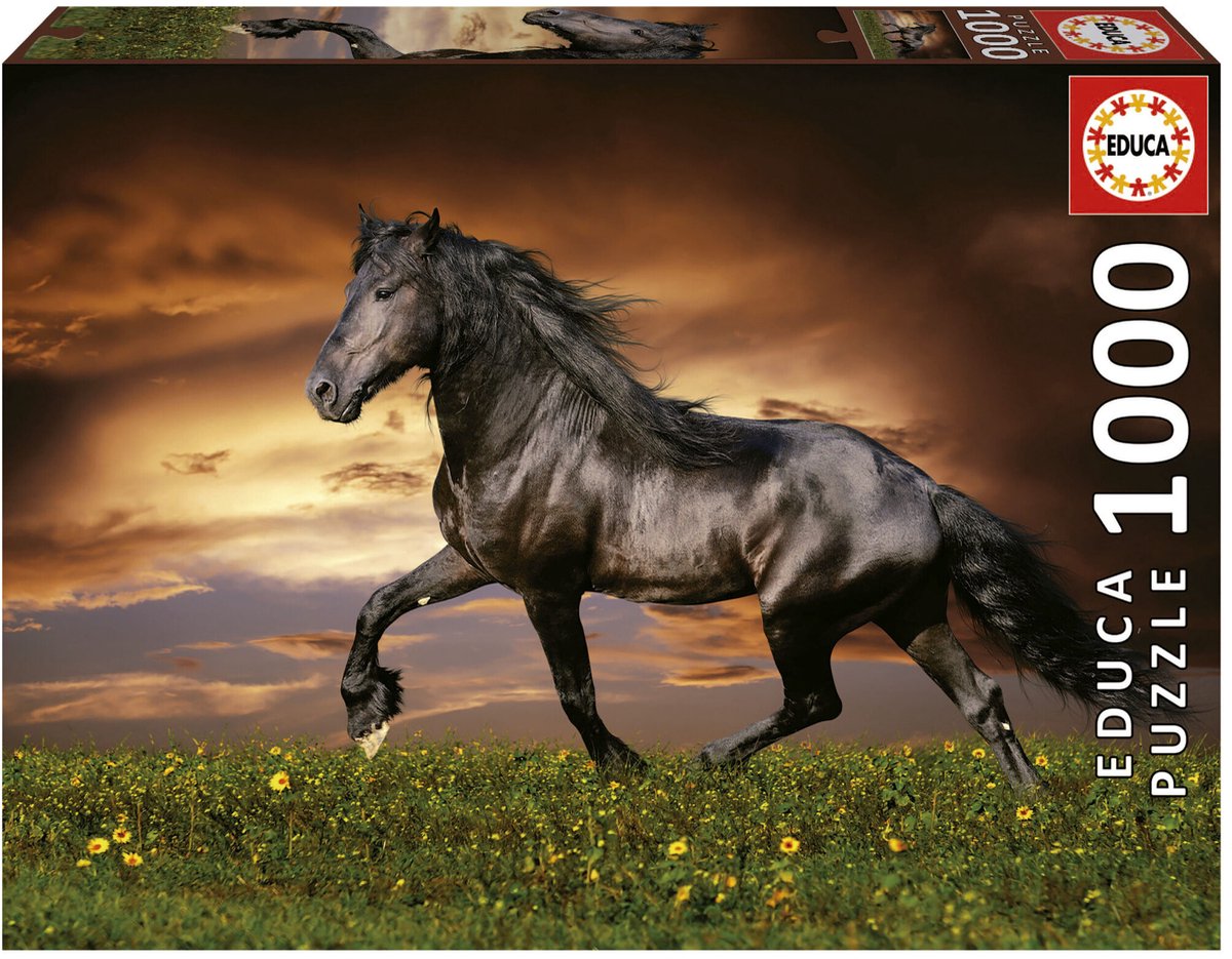 Educa - Puzzle - 1000 Teile - Pferd