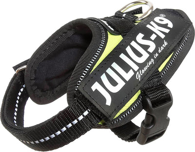 Julius K9 Julius-K9 IDC®Power-Geschirr, 3xS – Baby1, Neon