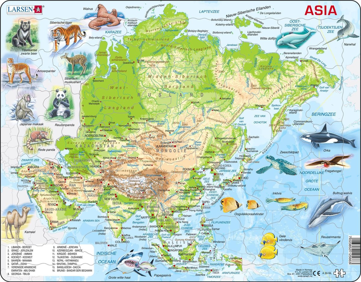 Larsen Asien geographisch mit Tieren – Puzzle – Karten Geographie – Asien – Lernpuzzle für Kinder – 63 Teile – hergestellt in Norwegen – extra dicke 2,5 mm Teile – Tablett mit festem Rand