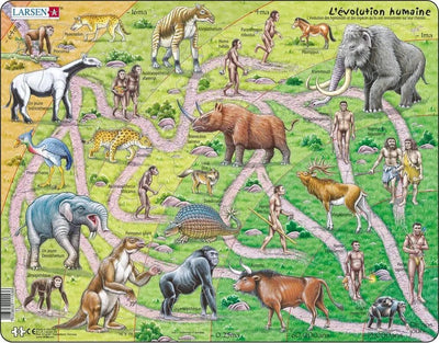 Larsen évolution des singes à l'homme - Puzzle - Préhistoire - évolution humaine - Puzzle éducatif pour enfants - 83 Teile - Hergestellt in Norwegen - Teile mit 2,5 mm Extratiefe - Plateau mit fester Platte