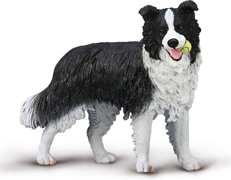 Collecta Figur - Border Collie - (l) - Hunde - handbemalt - Miniatur