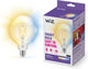 Wiz-Glühfadenlampen-Globus – warmes bis kühles weißes Licht – intelligente LED-Beleuchtung – E27-Fassung – 60 W – transparent – WLAN – große Glühbirne: G125