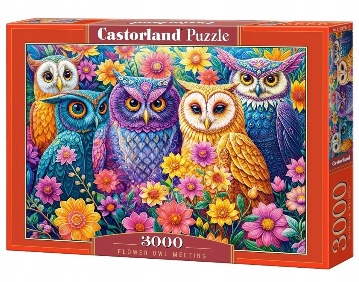 Castorland Puzzle 3000 Teile: Begegnung mit blühenden Eulen