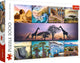 Trefl Puzzle Afrika – 1000 Teile – Puzzle-Collage.