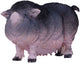 Mojo Ackerland Bauchschwein 381079