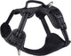 Rogz für Hunde Rogz Explore Geschirr gefüttert schwarz – Hundegeschirr – S 36–57 cm