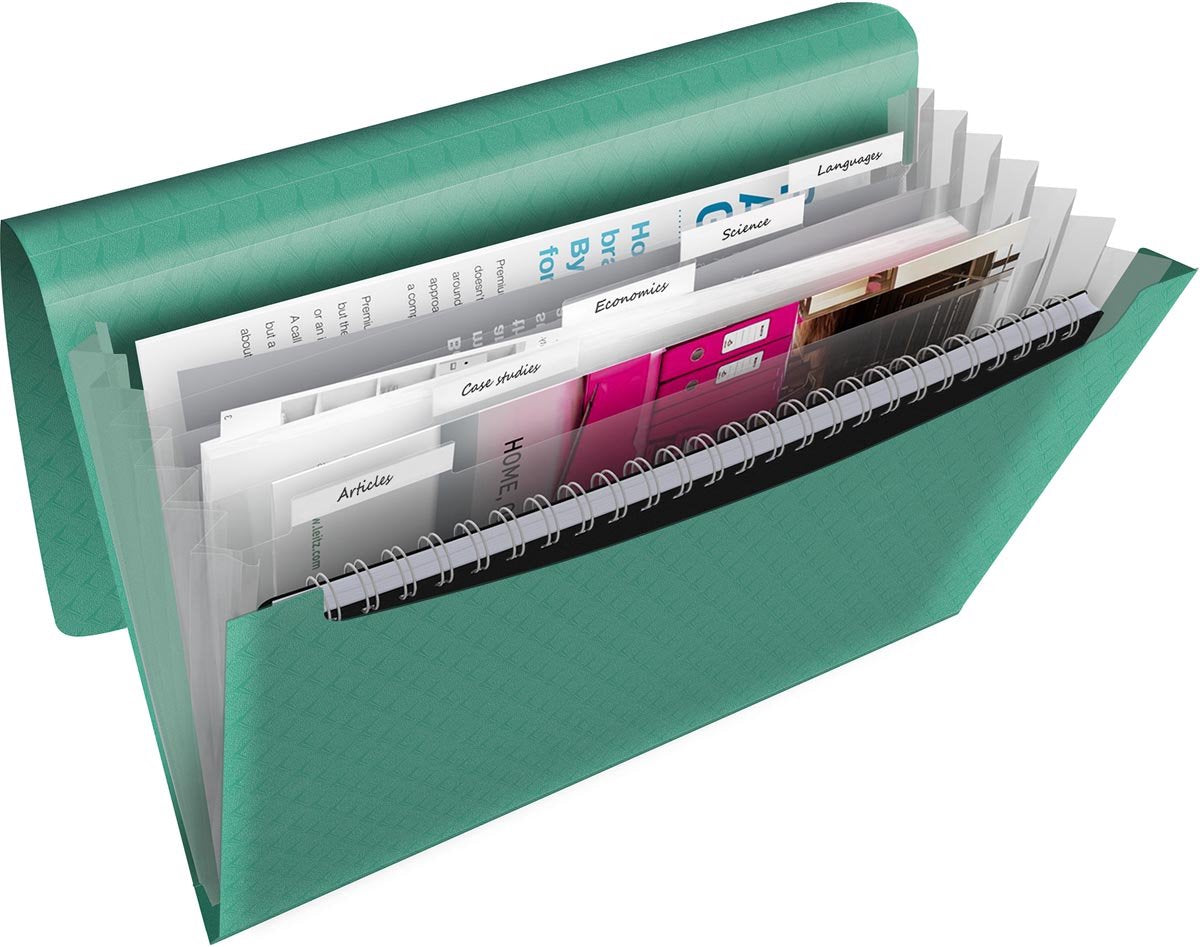 Esselte Colour'breeze A4 erweiterbarer Projektordner – Organizer mit 5 Laschen und 6 Fächern – Grün