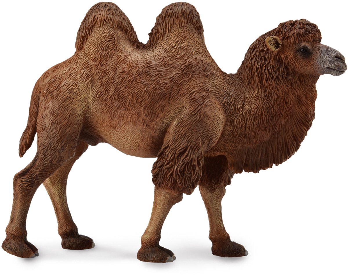 Collecta Figur - Kamel - (l) - wilde Tiere - handbemalt - Miniatur