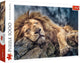 Trefl Schlafendes Löwenpuzzle – 1000 Teile