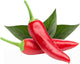 Click and Grow Click Grow Nachfüller für Chilischoten (3er-Pack)