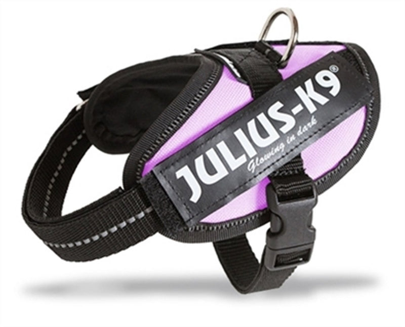 Julius K9 weltberühmter IDC-Stromkabelbaum für Textetiketten, rosa, Größe 1