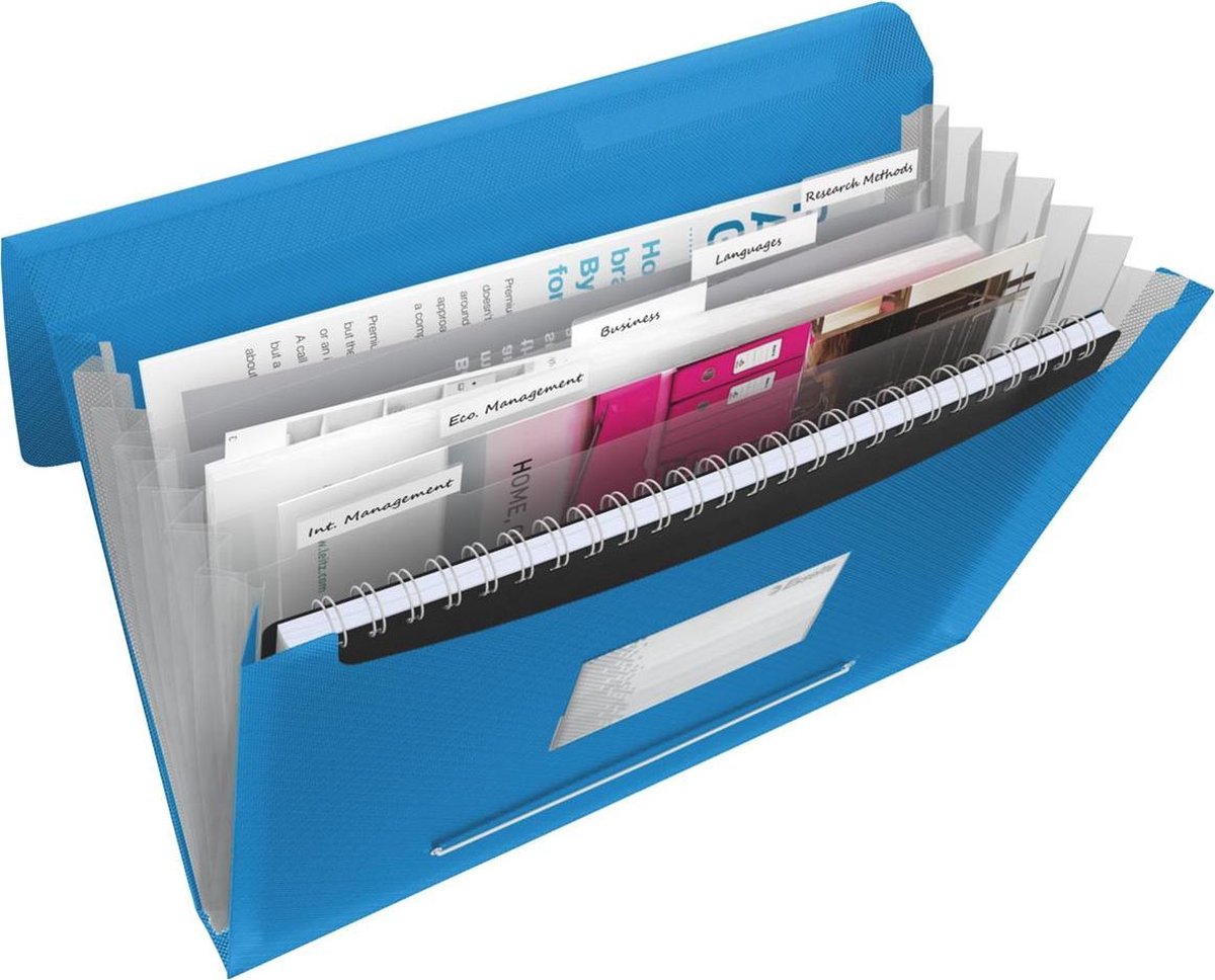 Esselte Projektmappe Vivida Blau – A4