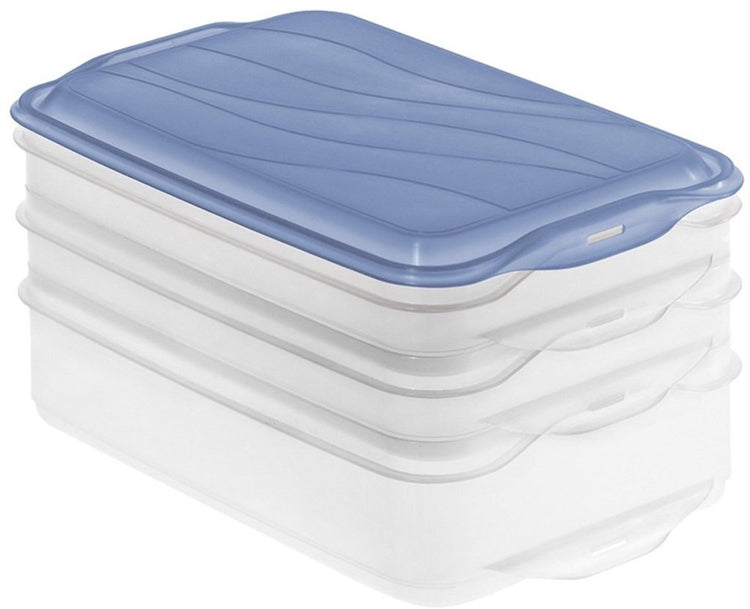 Rotho Rondo Fleischbox 2x0,75l 1x1,35l Horizontblau transparent