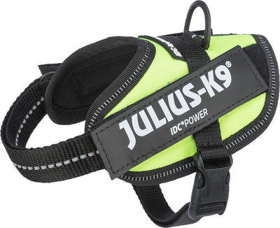 Julius K9 Julius-K9 IDC Power Harness – 2xS – Baby2 – Neon