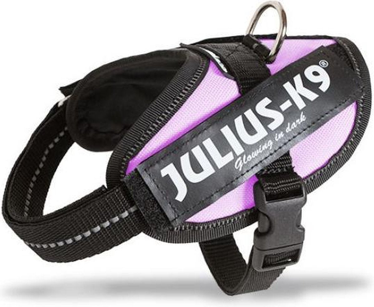Julius K9 weltberühmter IDC-Stromkabelbaum für Textetiketten, rosa, Größe 1
