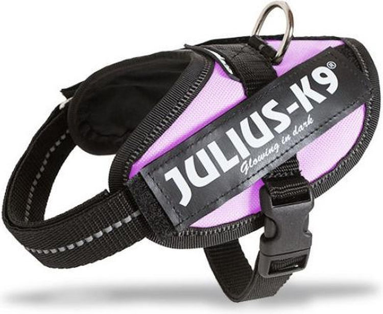 Julius K9 weltberühmter IDC-Stromkabelbaum für Textetiketten, rosa, Größe 1