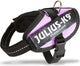 Julius k9