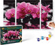 Schipper Malen nach Zahlen - Orchideen - Hobbypaket
