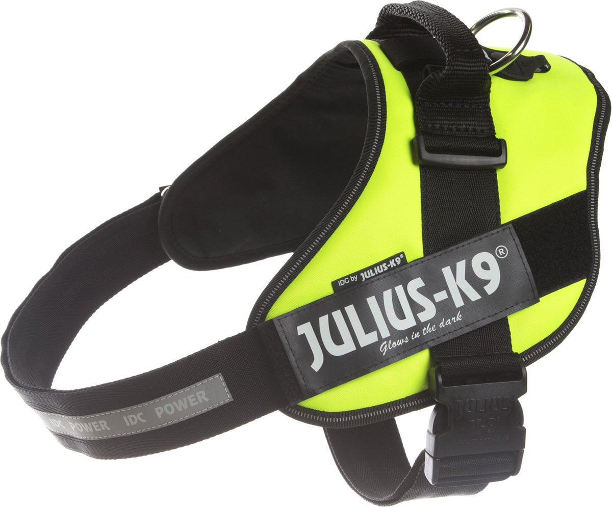 Julius k9