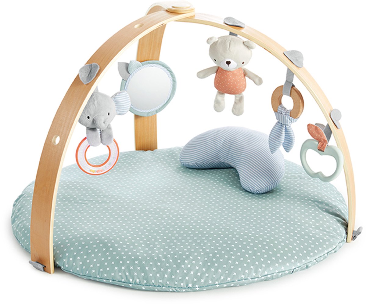 Ingenuity Baby Activity Gym lehmig - - ab 0 Monaten