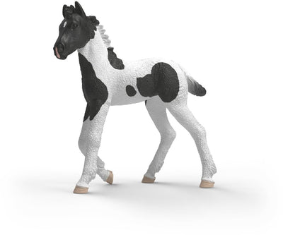 Schleich Horse Club Sammlerfohlen Rocky 81481