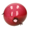 Ballonballtiere