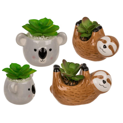 Ootb Sukkulente im Topf, Faultier oder Koala